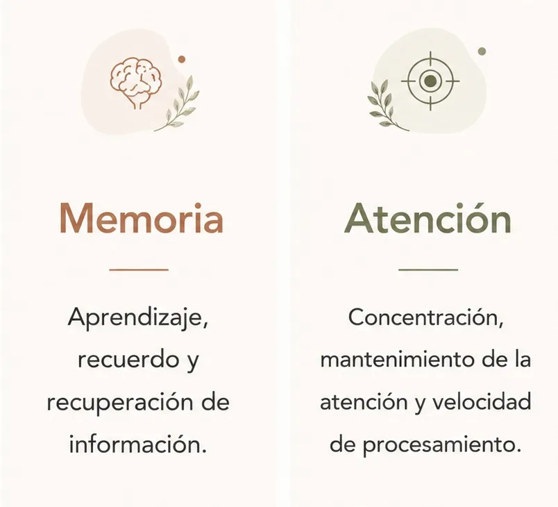 66de821d c39e 4228 861c 76ee29945461